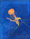 jelly fish